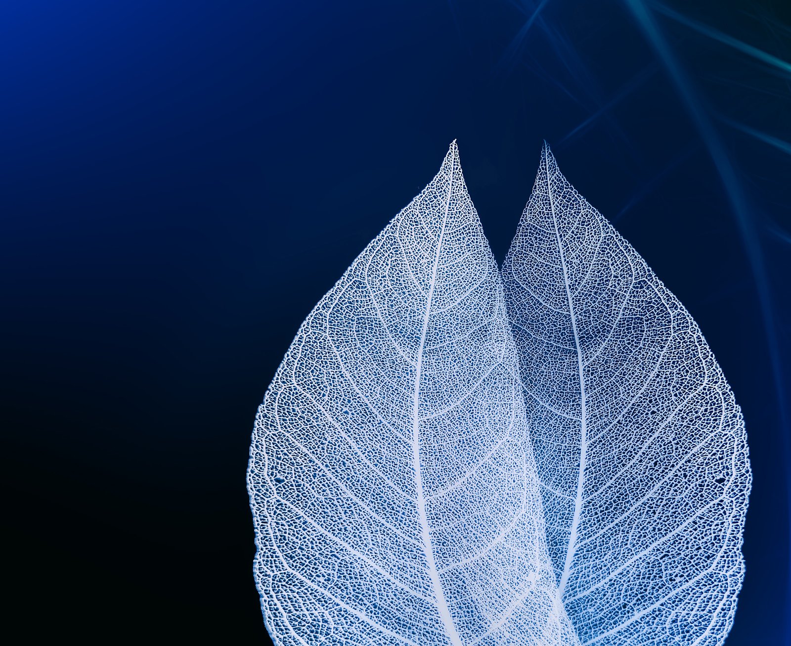 Responsible investing