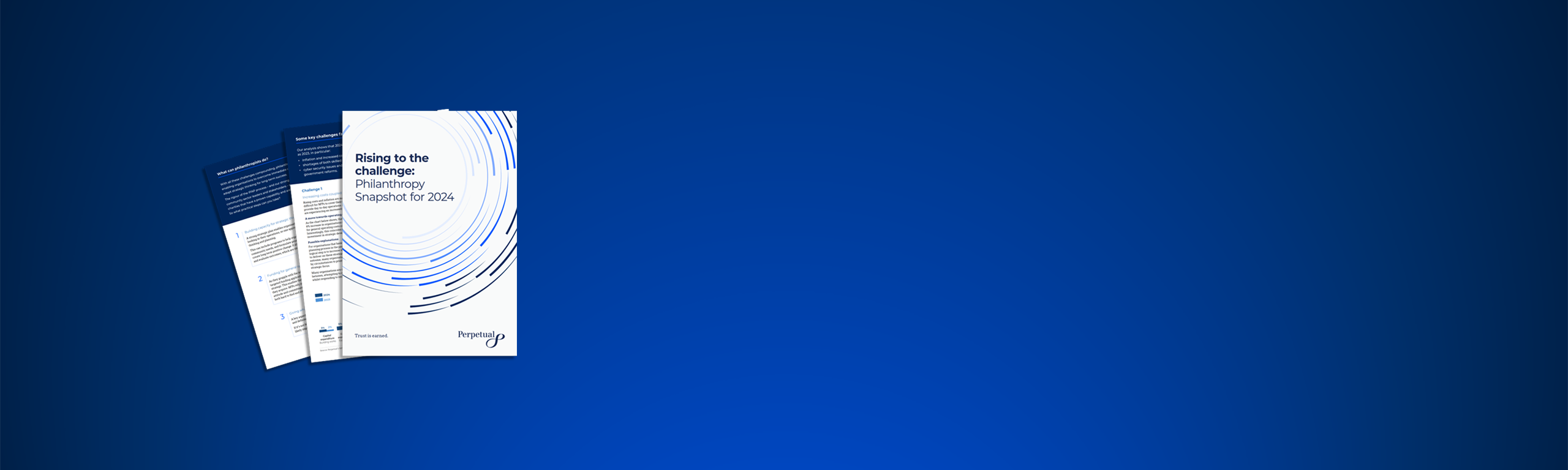 cta-banner-philanthropy-snapshot-2024-1920-768-4.png