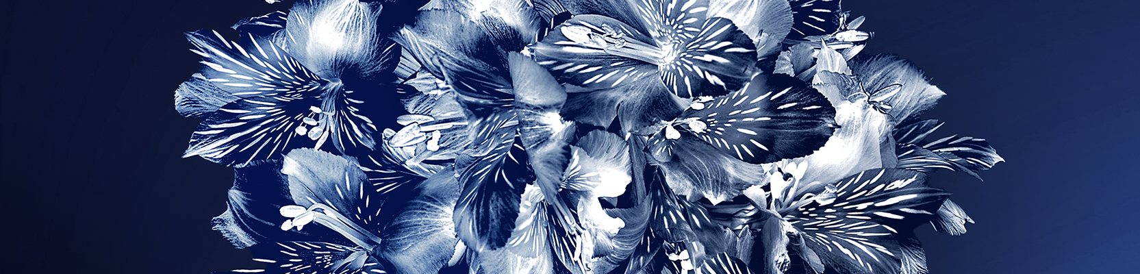 Perpetual Corporate Trust